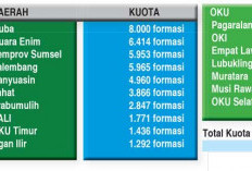 Se-Sumsel Tersedia 45.757 Formasi PPPK, Muba Terbanyak, OKU Selatan Paling Sedikit