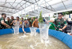 Urban Farming Tingkatkan Ketahanan Pangan, Tambah 170 Ribu Ha Lahan Sawah, Produksi Naik Dua Lipat