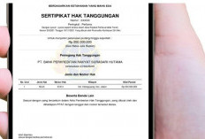 HT dan Roya Elektronik Jadi Layanan Favorit Publik, Ini Alur dan Biaya yang Perlu Diketahui Debitur