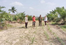 Minimnya Curah Hujan, Tak Ada Sumber Air Cadangan