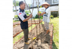 Suasana Pendopo Lebih Asri, Tambah Jenis Sayuran