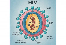 15 Warga Empat Lawang Terkonfirmasi HIV, Termasuk Balita 2 Tahun