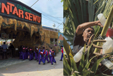 Desa Hendrosari Gresik Bertransformasi, Lontar Jadi Motor Penggerak Ekonomi Berbasis UMKM dan Wisata