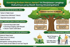 Kambing Kurban Harus Jantan? Ini Penjelasan Lengkap Hukumnya yang Masih Sering Disalahpahami