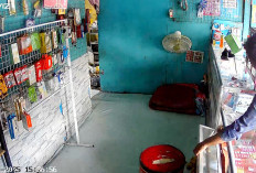 Terekam CCTV Embat Uang Konter Pulsa, Pelaku Pakai Kemeja Biru Gelap dan Naik Naik Motor