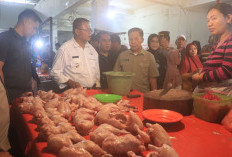 Stok Beras dan Gula Stabil, Cabai Naik: Tim Satgas Sidak Antisipasi Lonjakan Harga Jepang Ramadhan