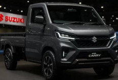 Suzuki Carry Pick Up 2026: Legenda Niaga yang Terus Berevolusi, Kini Lebih Modern dan Efisien