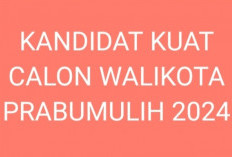 Inilah Kandidat Potensial Bakal Calon Walikota Prabumulih 2024-2029, Ada Jagoanmu?
