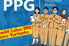 10 Keuntungan Jika Lulus PPG Guru Tertentu