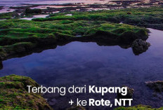 Penerbangan Langsung Kupang-Rote: Wings Air Buka Jalan untuk Pariwisata NTT