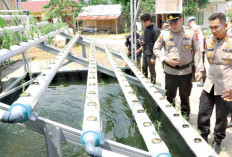  Manfaatkan Pekarangan, Penuhi Kebutuhan