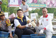 Panen Bawang Merah, Dijual di Pasar Murah