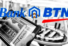 Loker Terbaru Nih! Bank BTN Buka Rekrutmen RLDP, Peluang Karir di Berbagai Wilayah Indonesia, Cek Di Sini Yuk