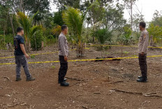 Warga Gempar, Mayat Pria Tanpa Identitas Ditemukan Bersimbah Darah di Kebun
