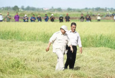 Presiden Prabowo Tegaskan Komitmen Swasembada Pangan, Dorong Pertanian Modern di Merauke!