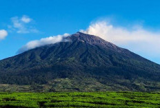 Bukan di Jawa Apalagi Bali, Gunung Berapi Tertinggi di Indonesia Ternyata Ada di Pulau Ini