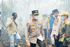 Kapolda ke OKI, Pangdam ke Muba, Sudah 750 Hektar Lahan di Sumsel Terbakar