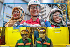 Loker BUMN: PT Freeport Indonesia dan Pertamina Training Consulting, Formasi untuk SMA, D3, dan S1