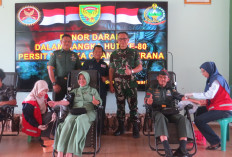 Sebulan Berhasil Kumpulkan 350 Kantong Darah HUT Persit ke 80