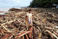 Kayu Hanyutan Pascabanjir Sumatra Dimanfaatkan, Pemulihan Infrastruktur Dipercepat