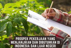 Prospek Pekerjaan Jurusan Pertanian yang Dibutuhkan di Indonesia dan Luar Negeri
