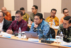 PLN, DPR-RI dan Kementerian ESDM Perkuat Sinergi, Kunker Tim Panja Komisi XII ke Palembang 