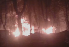 Kobaran Api Puluhan Meter, Sumur Minyak Ilegal Meledak di Perkebunan Sawit