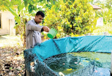 Jadi Sarana Edukasi, Ajang Silahturahmi Antar Anggota