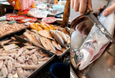 Ingin Beli Ikan Segar di Pasar? Perhatikan 5 Hal Ini Ya Bund! 