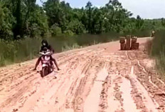 Jalan Desa Cambai OKI Rusak Parah, Warga Harap Perbaikan Segera Jadi Prioritas