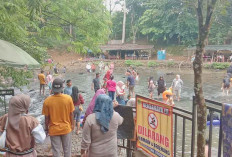 Pengunjung Air Terjun Temam Membeludak 