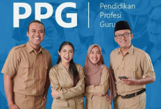 Syarat Pencairan Tunjangan Sertifikasi Bagi Lulusan PPG Guru Tertentu 2024