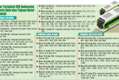 Arab Saudi Konfirmasi 9 Kasus MERS-CoV, Kemenkes RI Minta JCH Indonesia Hindari Kontak dengan Unta