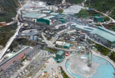 Jurusan Kuliah Paling Dicari, Inilah 20 Alumni Terbanyak yang Diterima di PT Freeport Indonesia