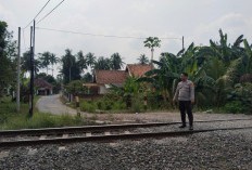 Diduga Panik Saat Kereta Mendekat, Petani di OKU Timur Meninggal Tertabrak KA Babaranjang