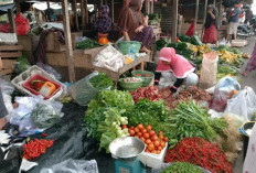 Harga Tomat di Empat Lawang Melonjak Tajam, Capai Rp17 Ribu per Kilogram