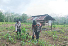 Dukung Kesejahteraan Petani 