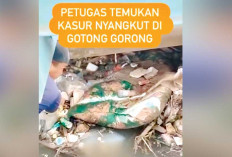 Inisiasi DLH Palembang, Buang Sampah Besar Cukup Kirim Pesan WA, Ini Nomornya  