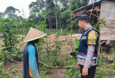 Ubah Pekarangan Jadi Sumber Pangan Bergizi, Sukses Kelola Lahan Produktif