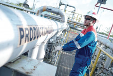 Sukses Efisiensi, Biaya Produksi Migas Turun 11,11 Persen, Dorong Kemandirian Energi Nasional