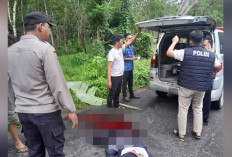 Langsung Meregang Nyawa Ditimpa Pohon Tumbang, Naas Pengendara Motor saat Melintasi Jalan Raya Lintas Komering