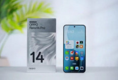 OPPO Reno14 Pro Resmi Dirilis, Hadir dengan Desain Warna Spektakuler dan Fitur Streaming Unggulan