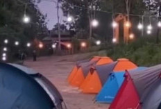 Wisata Alam Seru di Hutan Kota Baturaja: Tempat Camping yang Asri, Pilihan Liburan Terjangkau
