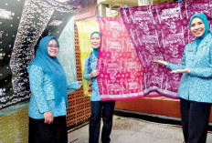 Galeri Dekranasda, Wadah UMKM OKI 