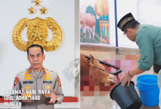 Polda Sumsel Kurban 62 Ekor Sapi dan 5 Ekor Kambing, Ini Makna Iduladha Bagi Kapolda Sumsel Andi Rian 