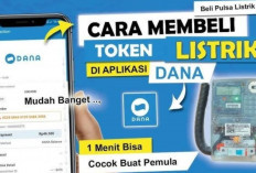 Cara Simpel dan Mudah Isi Token Listrik Lewat Aplikasi DANA, Hemat Waktu dan Biaya