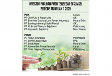 Investasi Sumsel Baru Terealisasi 17,39%, OKI Pulp Penyumbang PMA Terbesar
