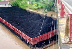 Terjadi Lagi, Kapal Tongkang Muatan Batu Bara Tabrak Jembatan Sungai Lilin