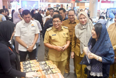 Tren Sektor Wisata Kian Positif, Makin Tumbuh jika Bandara SMB 2 Kembali Internasional 