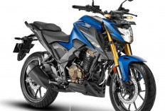 Honda Tiger Reborn 2026, Legenda Jalanan Bangkit dengan Mesin 250 cc, Siap Menaklukkan Turing Lintas Provinsi